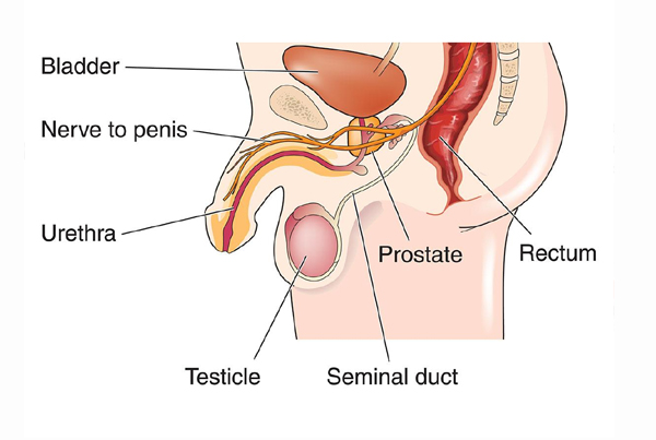 Urethroplasty