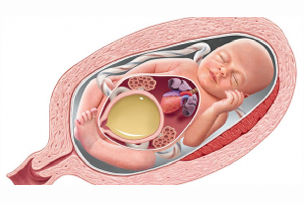 Urethral Valve Fulguration